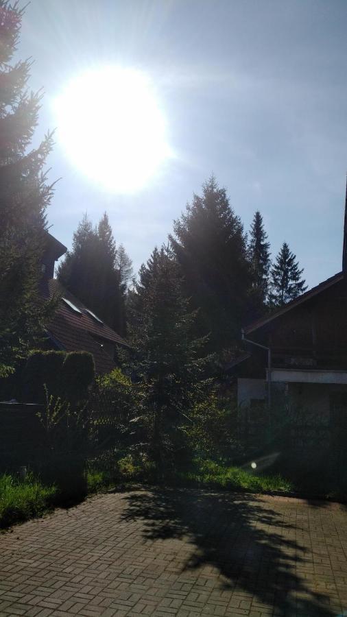 סינאיה Poiana Dintre Brazi Chalet, Bucegi Panorama מראה חיצוני תמונה