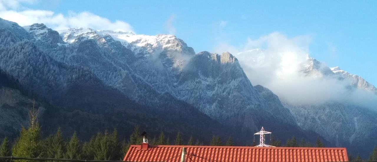 סינאיה Poiana Dintre Brazi Chalet, Bucegi Panorama מראה חיצוני תמונה
