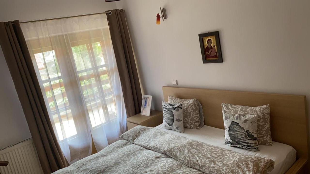 סינאיה Poiana Dintre Brazi Chalet, Bucegi Panorama מראה חיצוני תמונה