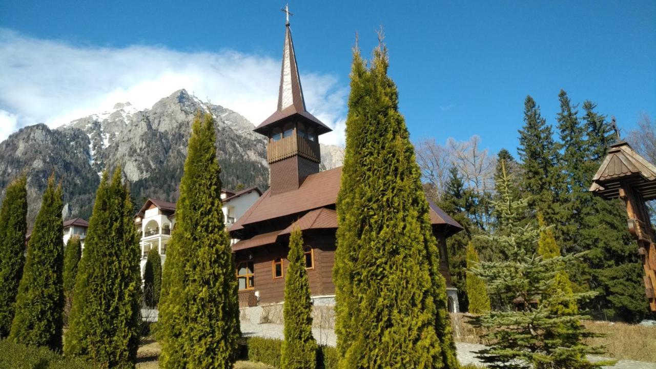 סינאיה Poiana Dintre Brazi Chalet, Bucegi Panorama מראה חיצוני תמונה