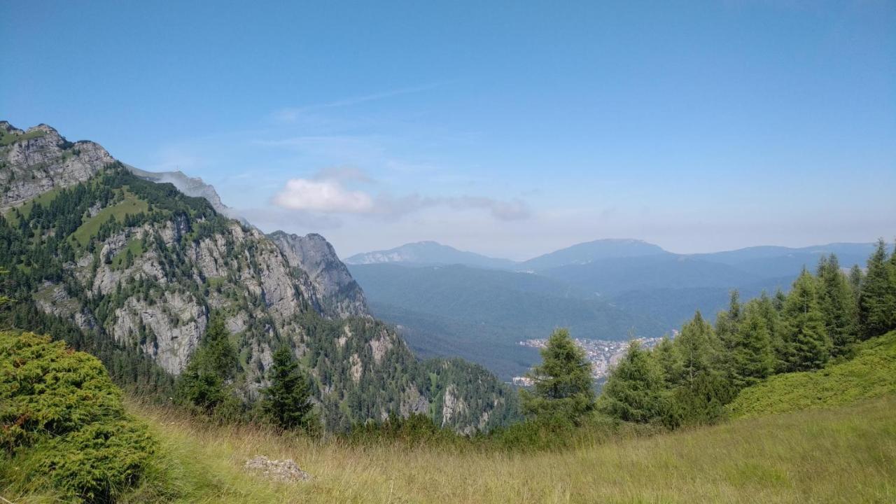 סינאיה Poiana Dintre Brazi Chalet, Bucegi Panorama מראה חיצוני תמונה