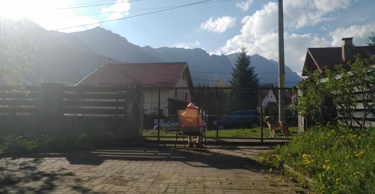 סינאיה Poiana Dintre Brazi Chalet, Bucegi Panorama מראה חיצוני תמונה