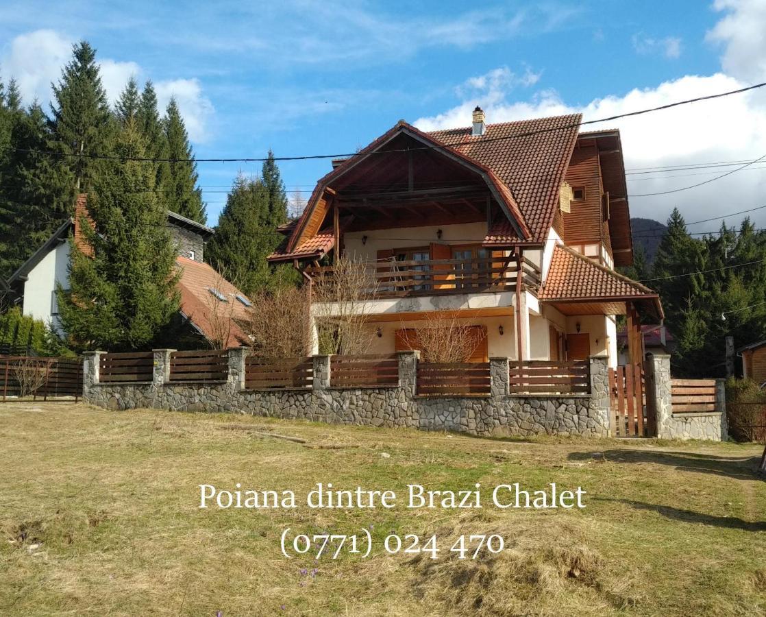 סינאיה Poiana Dintre Brazi Chalet, Bucegi Panorama מראה חיצוני תמונה