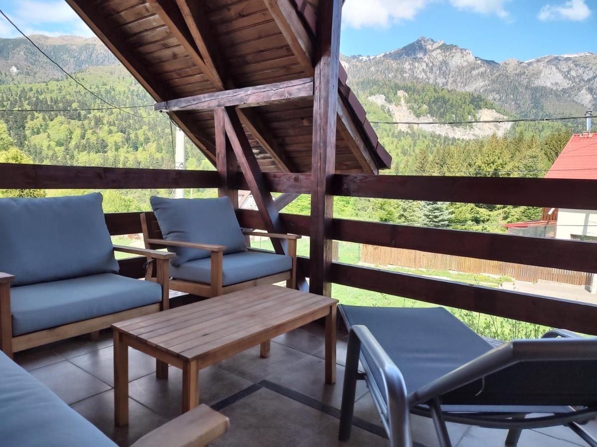 סינאיה Poiana Dintre Brazi Chalet, Bucegi Panorama מראה חיצוני תמונה